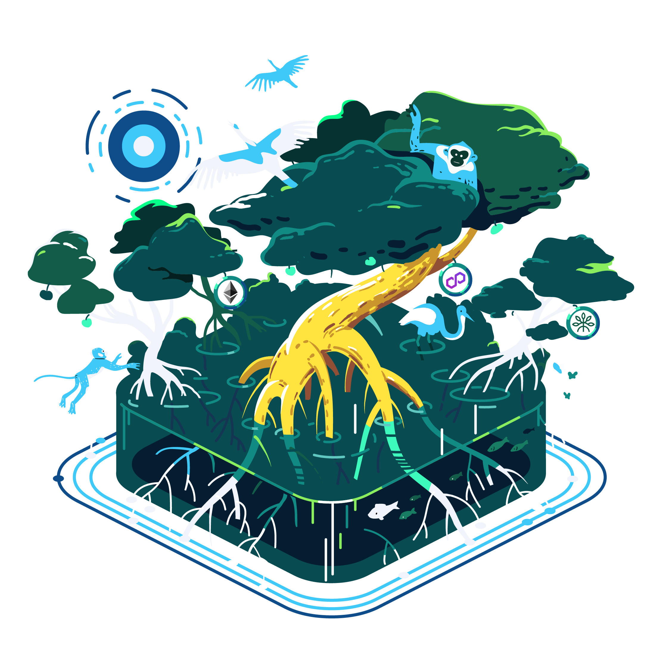 Mangrove Forest NFT Mangrove forest NFT OpenSea