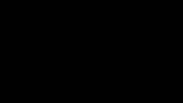 FOX_011